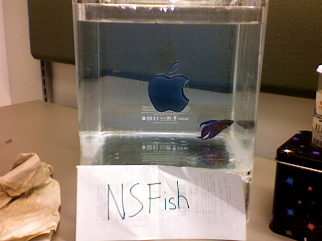 NSFish